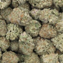 Mango Kush Strain Flower - Indica Dominant Hybrid Mango Kush Strain Flower - Indica Dominant Hybrid