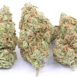 Raspberry Hashplant Strain Flower (5 Star) - Indica Dominant Hybrid Raspberry Hashplant Strain Flower (5 Star) - Indica Dominant Hybrid