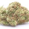 Raspberry Hashplant Strain Flower (5 Star) - Indica Dominant Hybrid Raspberry Hashplant Strain Flower (5 Star) - Indica Dominant Hybrid
