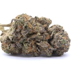 Mango Kush Strain Flower - Indica Dominant Hybrid Mango Kush Strain Flower - Indica Dominant Hybrid