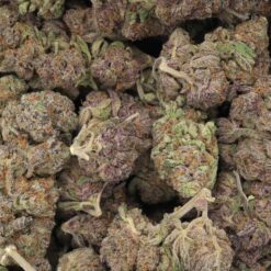 Mango Kush Strain Flower - Indica Dominant Hybrid Mango Kush Strain Flower - Indica Dominant Hybrid