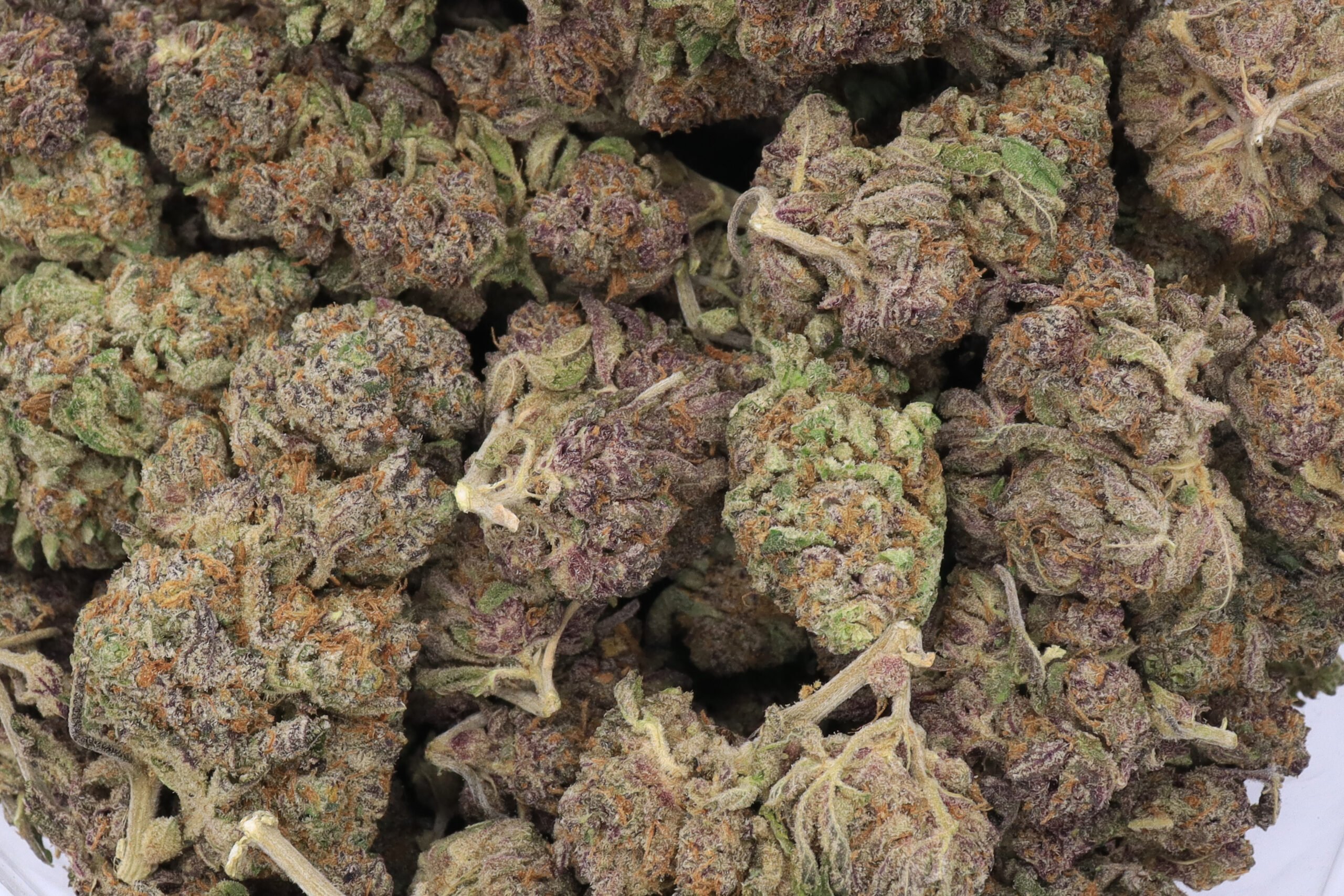 Mango Kush Strain Flower - Indica Dominant Hybrid Mango Kush Strain Flower - Indica Dominant Hybrid