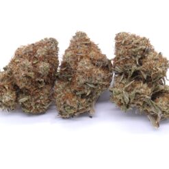 Zkittlez Strain Flower - Indica Dominant Hybrid Zkittlez Strain Flower - Indica Dominant Hybrid