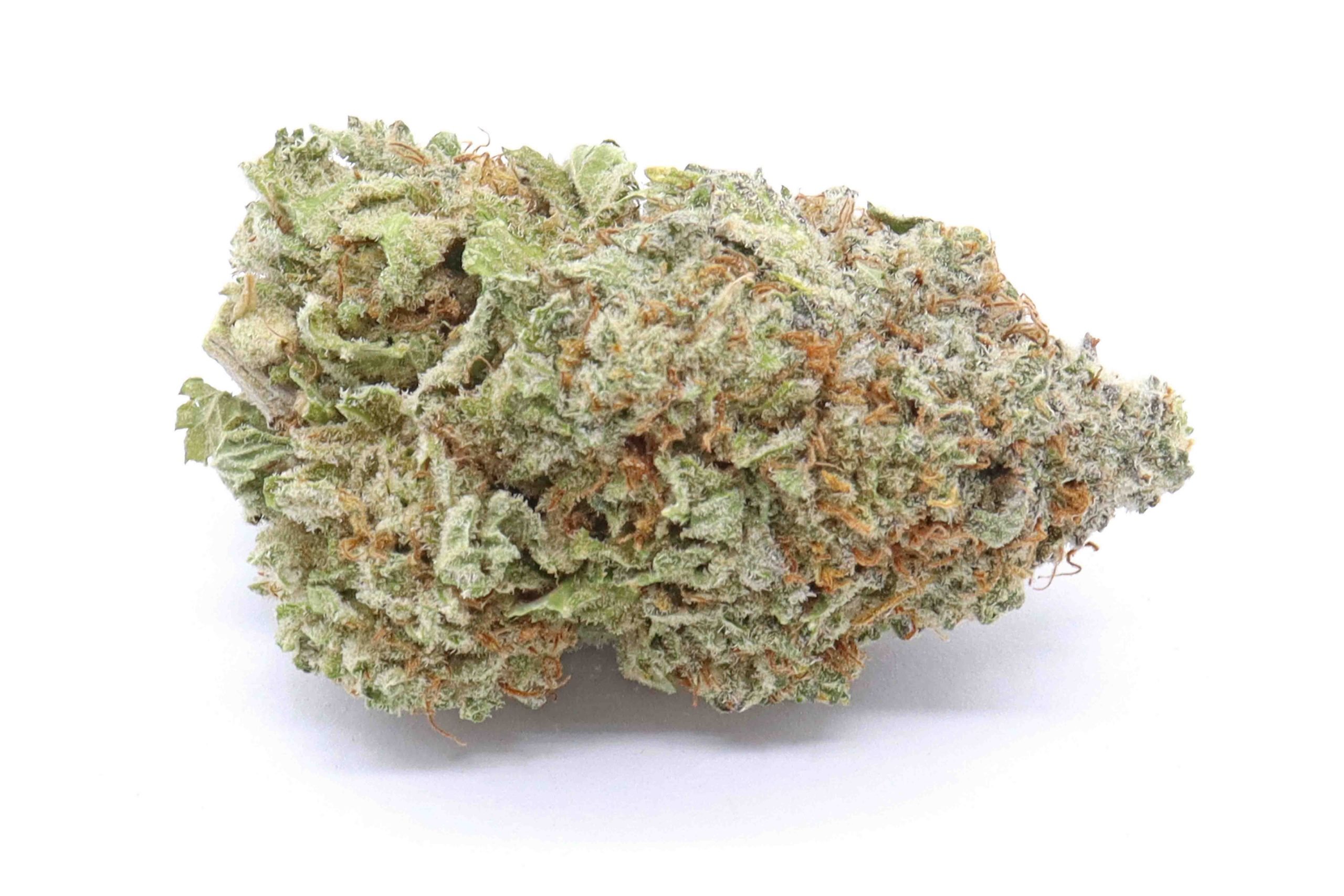 9 Pound Hammer Strain Flower - Indica Dominant Hybrid