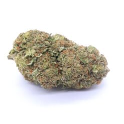 9 Pound Hammer Strain Flower - Indica Dominant Hybrid
