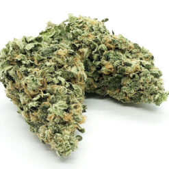 Maui Wowie Strain Flower - Sativa Dominant Hybrid Maui Wowie Strain Flower - Sativa Dominant Hybrid
