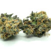 Orangeade Strain Flower - Sativa Dominant Hybrid