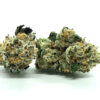 Purple Drank Strain Flower - Indica Dominant Hybrid Purple Drank Strain Flower - Indica Dominant Hybrid