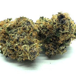 Sangria Strain Flower - Indica Dominant Hybrid Sangria Strain Flower - Indica Dominant Hybrid