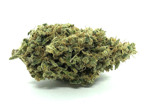 Silver Haze Strain Flower - Sativa Dominant Hybrid