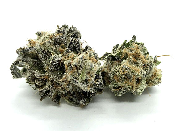 Slymer - Sativa Dominant Hybrid