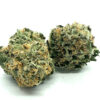 Testa Rossa Strain Flower - Indica Dominant Hybrid Testa Rossa Strain Flower - Indica Dominant Hybrid