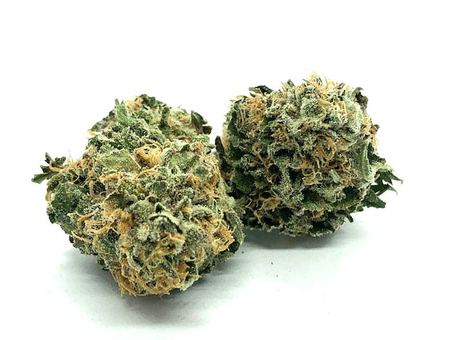 Testa Rossa Strain Flower - Indica Dominant Hybrid