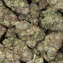 Maui Wowie Strain Flower - Sativa Dominant Hybrid Maui Wowie Strain Flower - Sativa Dominant Hybrid