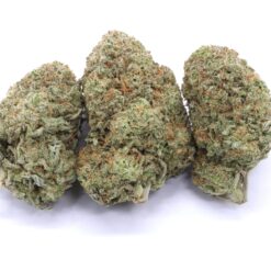 Middlefork Strain Flower - Indica Dominant Hybrid Middlefork Strain Flower - Indica Dominant Hybrid