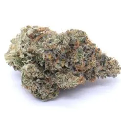 Nebula Strain Flower - Hybrid Nebula Strain Flower - Hybrid