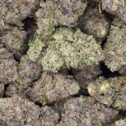 Nebula Strain Flower - Hybrid Nebula Strain Flower - Hybrid