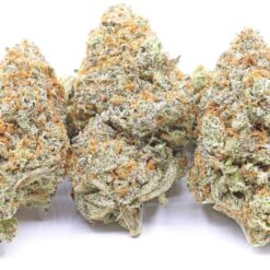 Pineapple Sherbert Strain Flower - Sativa Dominant Hybrid Pineapple Sherbert Strain Flower - Sativa Dominant Hybrid
