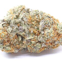 Pineapple Sherbert Strain Flower - Sativa Dominant Hybrid