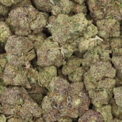 Platinum Kush Strain Flower - Indica Dominant Hybrid Platinum Kush Strain Flower - Indica Dominant Hybrid