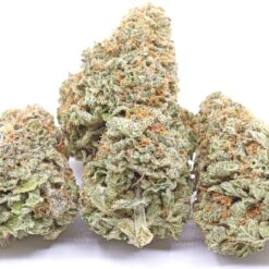 Red Headed Stranger Strain Flower - Sativa Dominant Hybrid Red Headed Stranger Strain Flower - Sativa Dominant Hybrid