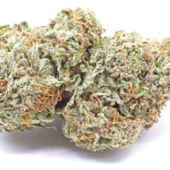 Red Headed Stranger Strain Flower - Sativa Dominant Hybrid Red Headed Stranger Strain Flower - Sativa Dominant Hybrid