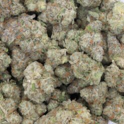 Silver Haze Strain Flower - Sativa Dominant Hybrid