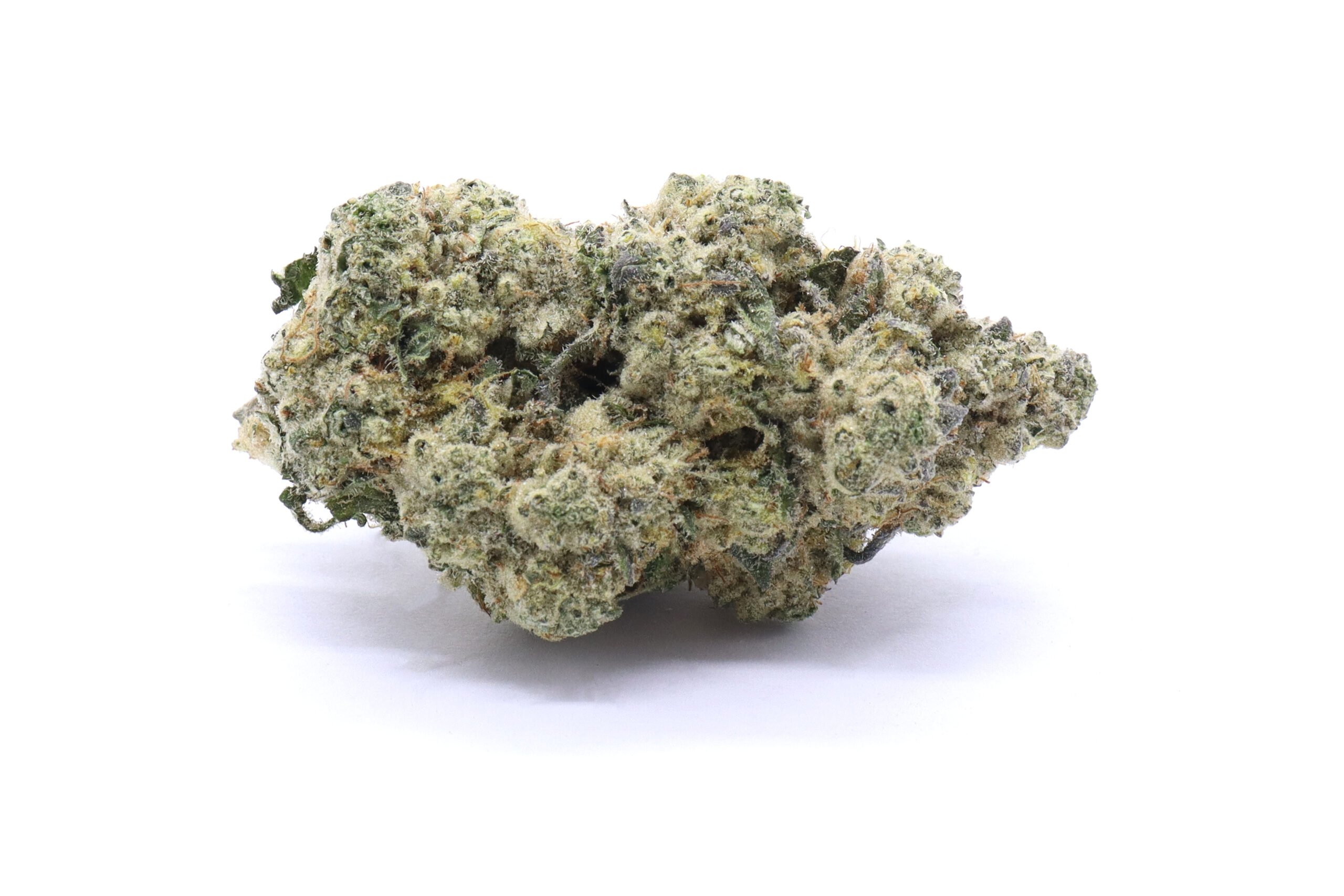 Slymer Cookies Strain Flower - Sativa Dominant Hybrid