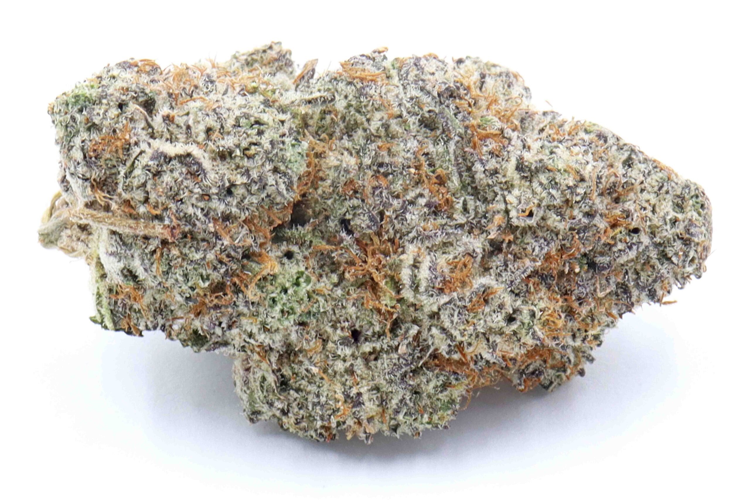 Slymer Cookies Strain Flower - Sativa Dominant Hybrid