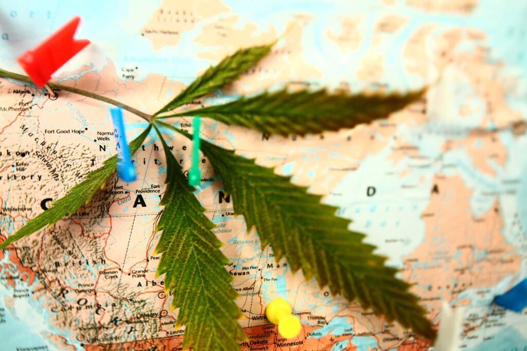Haute Health Cannabis Tourism