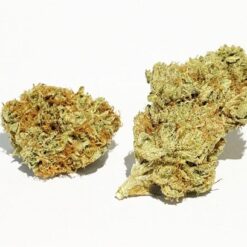 Wifi OG Strain Flower