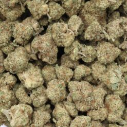 God's Green Crack Strain Flower - Indica Dominant Hybrid