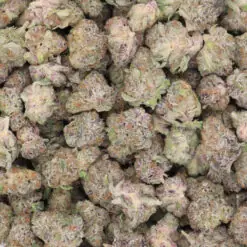 God's Green Crack Strain Small Buds - Indica Dominant Hybrid