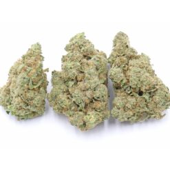 White Widow Strain Flower - Sativa Dominant Hybrid White Widow Strain Flower - Sativa Dominant Hybrid