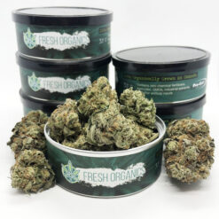 Banana's & Blow Strain - Hybrid (5 Star - Organic) Banana's & Blow Strain - Hybrid (5 Star - Organic)