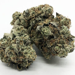 Banana's & Blow Strain - Hybrid (5 Star - Organic) Banana's & Blow Strain - Hybrid (5 Star - Organic)