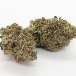 Banana's & Cream Strain - Hybrid (5 Star - Organic) Banana's & Cream Strain - Hybrid (5 Star - Organic)