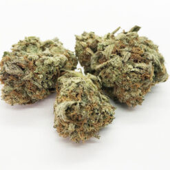 CBD Shark Strain - Indica (5 Star - Organic) CBD Shark Strain - Indica (5 Star - Organic)