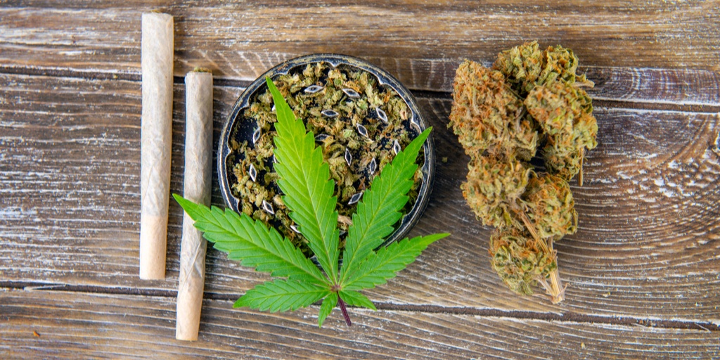 CBD Focused Strains