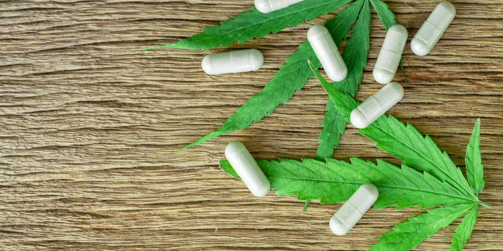 Understanding Antibiotics