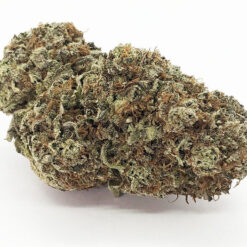 Sorbetto Strain - Hybrid (5 Star - Organic) Sorbetto Strain - Hybrid (5 Star - Organic)