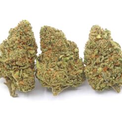 Chuck Norris Strain Flower - Indica Dominant Hybrid Chuck Norris Strain Flower - Indica Dominant Hybrid
