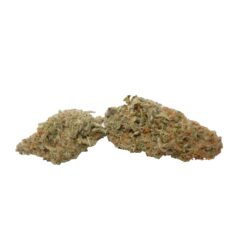 GMO Cookies Strain Flower