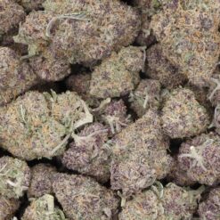 Granddaddy Purple Strain Flower - Indica Dominant Hybrid Granddaddy Purple Strain Flower - Indica Dominant Hybrid