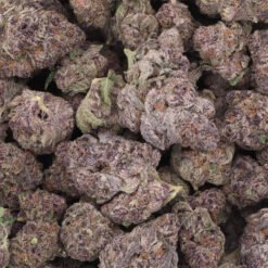 Granddaddy Purple Strain Flower - Indica Dominant Hybrid Granddaddy Purple Strain Flower - Indica Dominant Hybrid