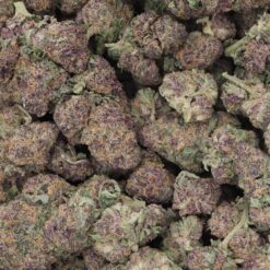 Granddaddy Purple Strain Flower - Indica Dominant Hybrid Granddaddy Purple Strain Flower - Indica Dominant Hybrid