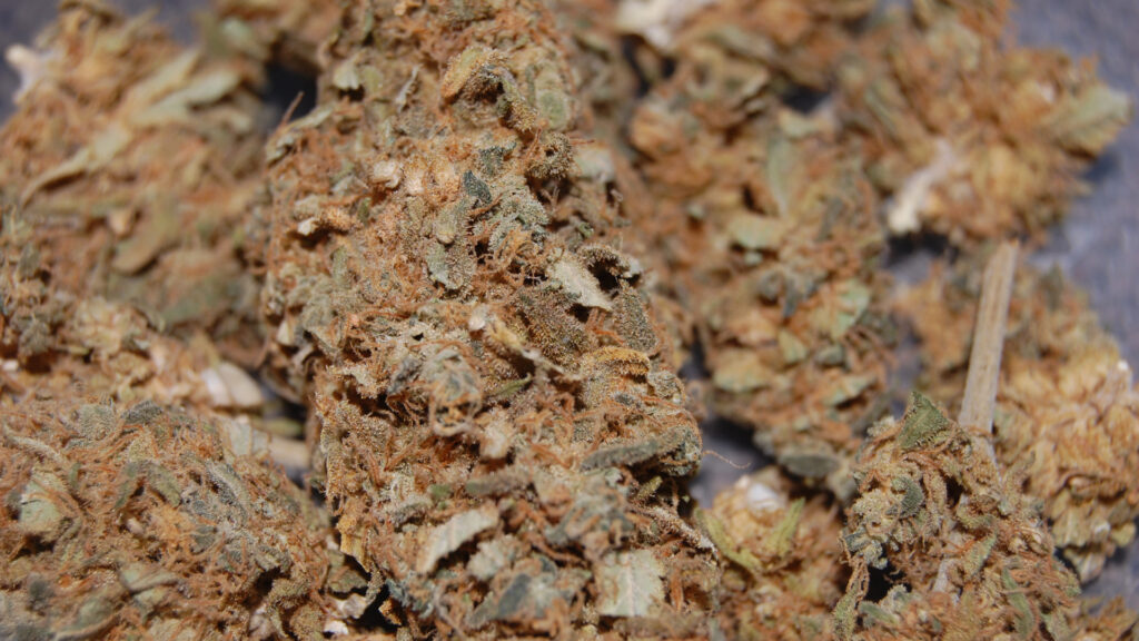 What is Reggie Weed & Grit Weed? Avoid it Or Smoke It?