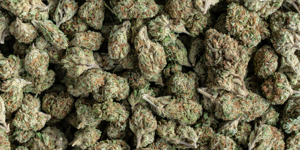 Are Popcorn Buds Worth It?