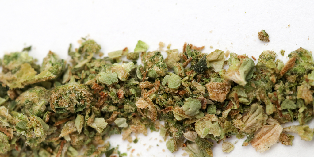 What Are Popcorn Buds?