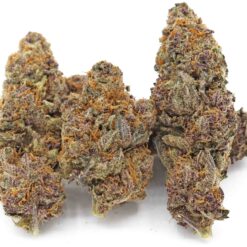Purple Kush Strain Flower - Indica Purple Kush Strain Flower - Indica